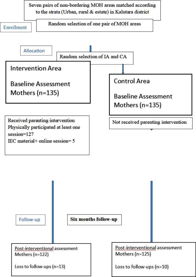 research skills assessment questionnaire figure 1