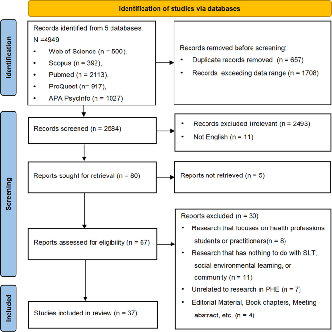 research article using nursing theory figure 1