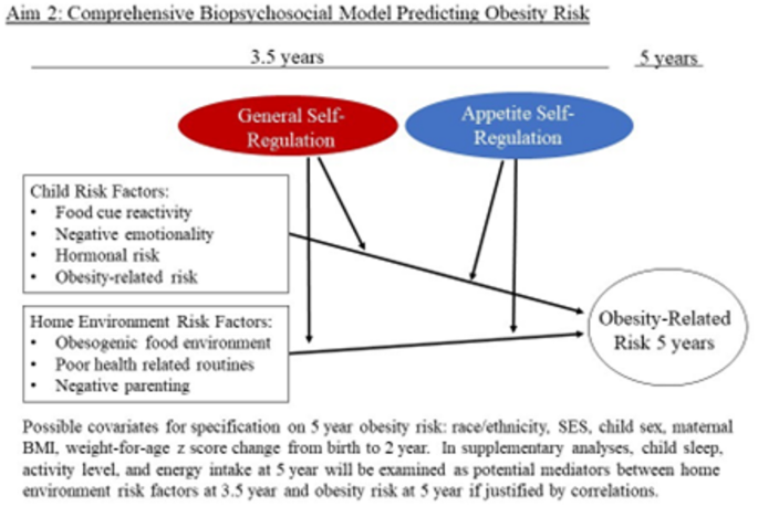 Protocol for the infant growth and development (iGrowUp) study: the role of  food and non-food self-regulation in children's obesity-related risk | BMC  Public Health | Springer Nature Link