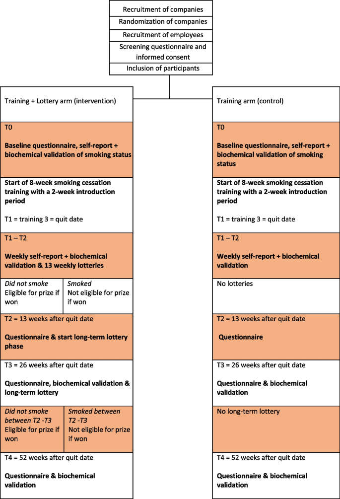 Lottery incentives for smoking cessation at the workplace: a cluster randomized trial | BMC Public Health | Springer Nature Link Lottery incentives for smoking cessation at the workplace: a cluster randomized trial | BMC Public Health | Springer Nature Link