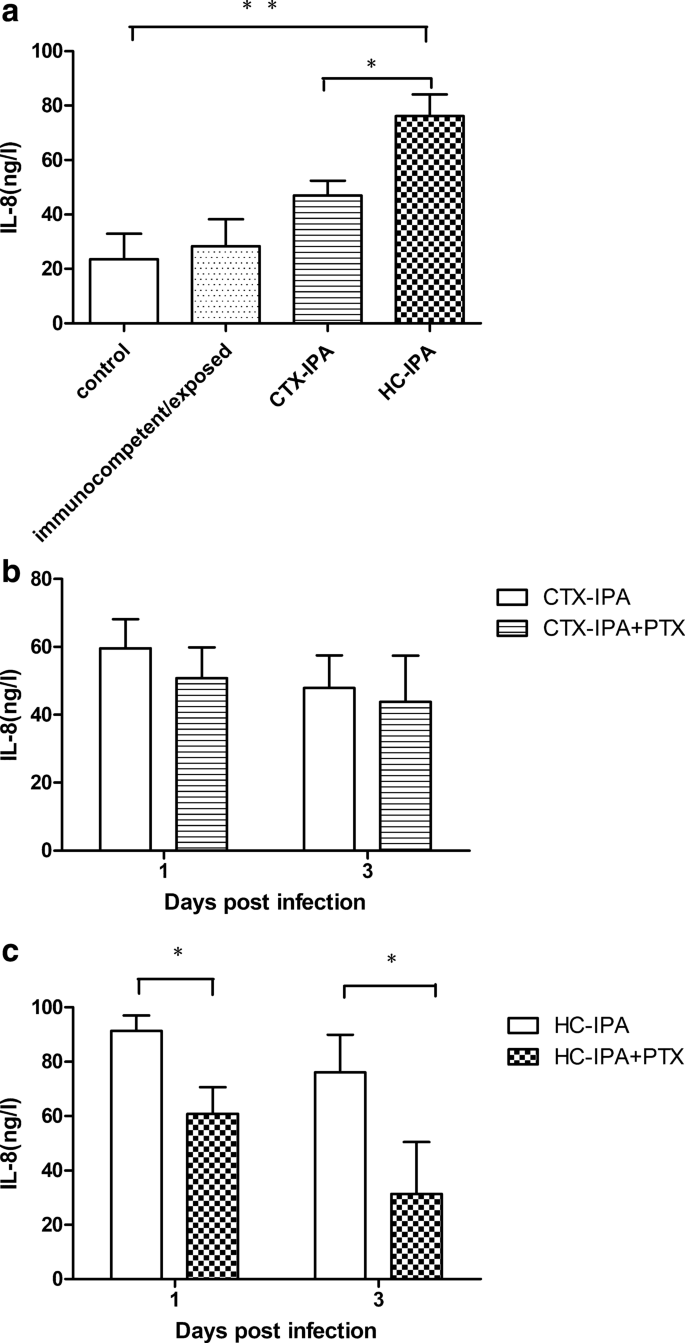 Therapeutic Effects Of Pentoxifylline On Invasive Pulmonary Aspergillosis In Immunosuppressed Mice Springerlink
