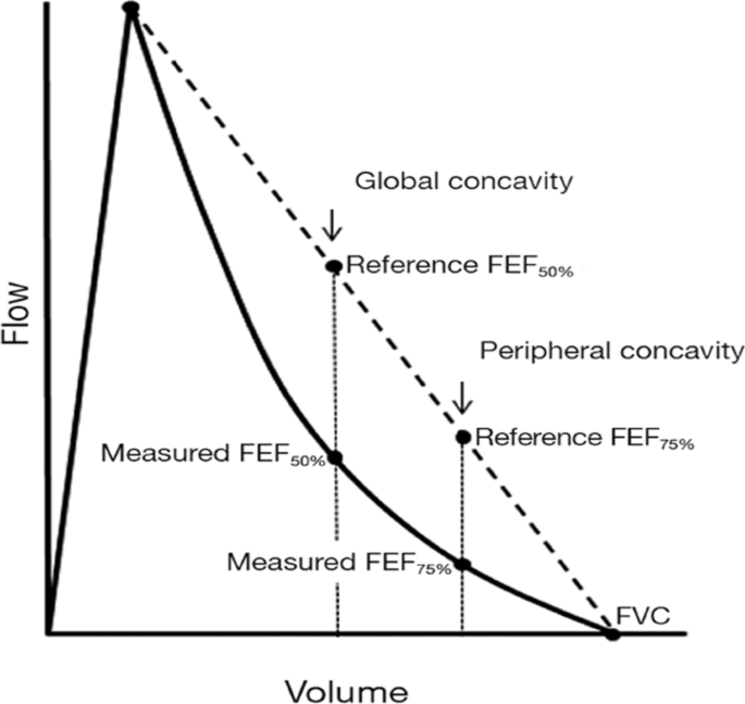 Relationship between concavity of the flow-volume loop and small airway  measures in smokers with normal spirometry | BMC Pulmonary Medicine | Full  Text