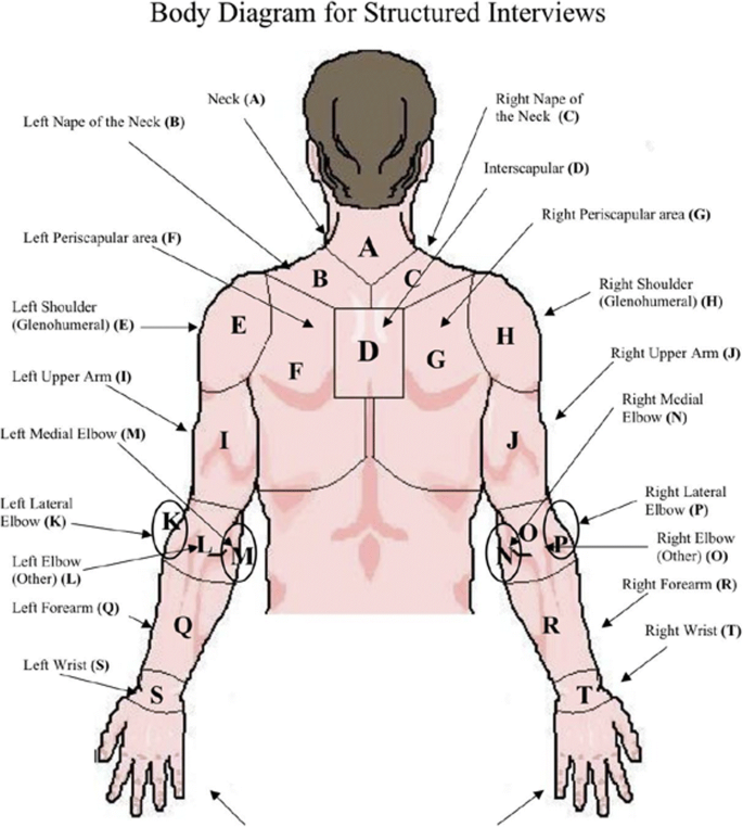 Is sleep position associated with glenohumeral shoulder pain and rotator  cuff tendinopathy: a cross-sectional study | BMC Musculoskeletal Disorders  | Full Text