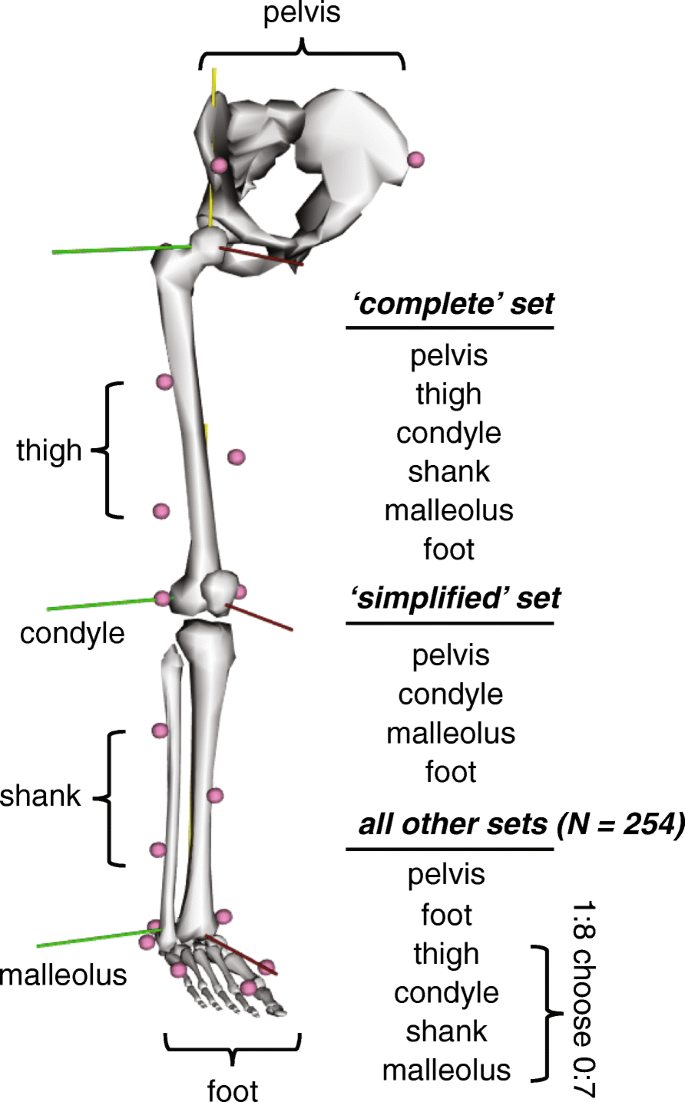 The impact of thigh and shank marker quantity on lower extremity kinematics  using a constrained model | BMC Musculoskeletal Disorders | Full Text