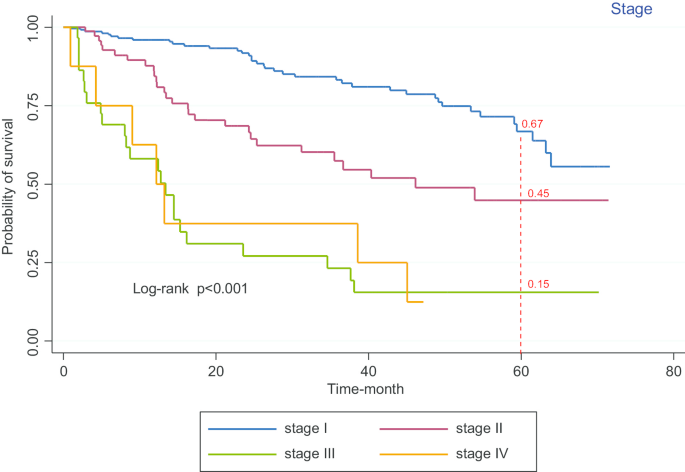 prostate and bladder cancer survival rate