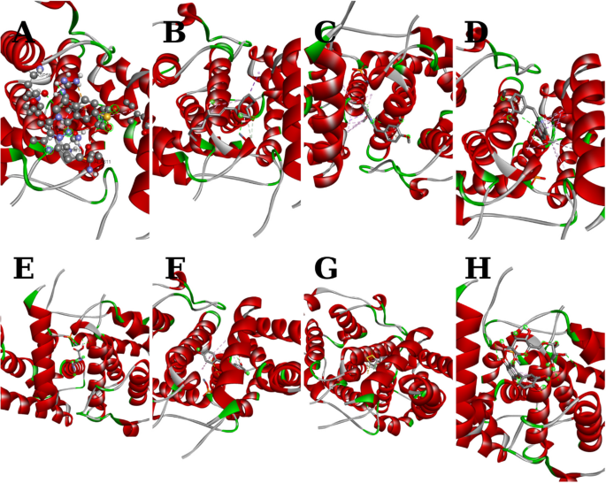 cjc 1295 ipamorelin common side effects Blog