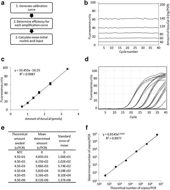 A simple, accurate and universal method for quantification of PCR | BMC  Biotechnology | Full Text