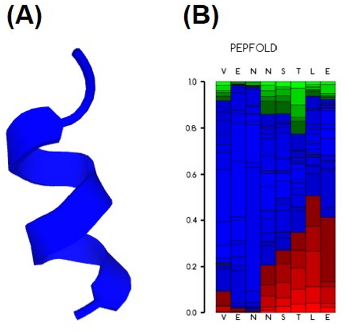 A novel cell-penetrating peptide supports hair follicle growth through  anti-inflammatory and growth factor–associated mechanisms in preclinical  models | BMC Biotechnology