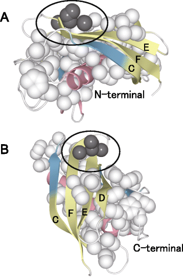 figure 8