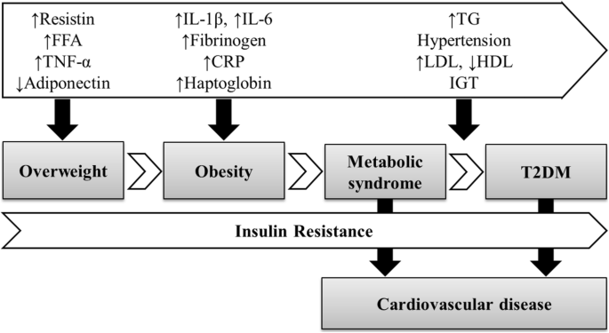 Clinical and biological risk factors associated with inflammation in  patients with type 2 diabetes mellitus | BMC Endocrine Disorders | Full Text