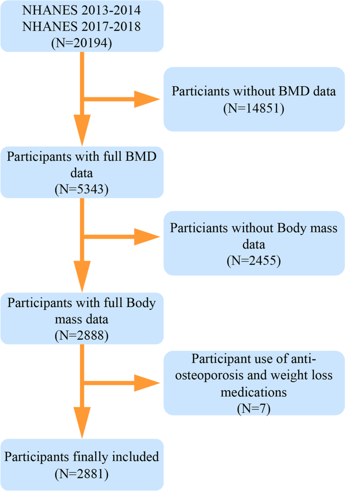 The association between body fat distribution and bone mineral density:  evidence from the US population | BMC Endocrine Disorders | Full Text
