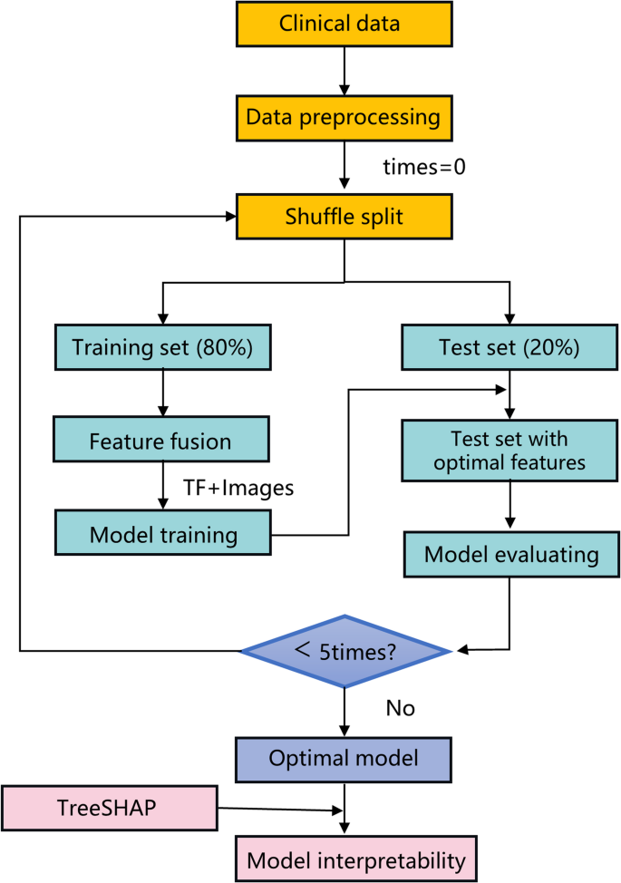 An interpretable multimodal machine learning model for predicting ...