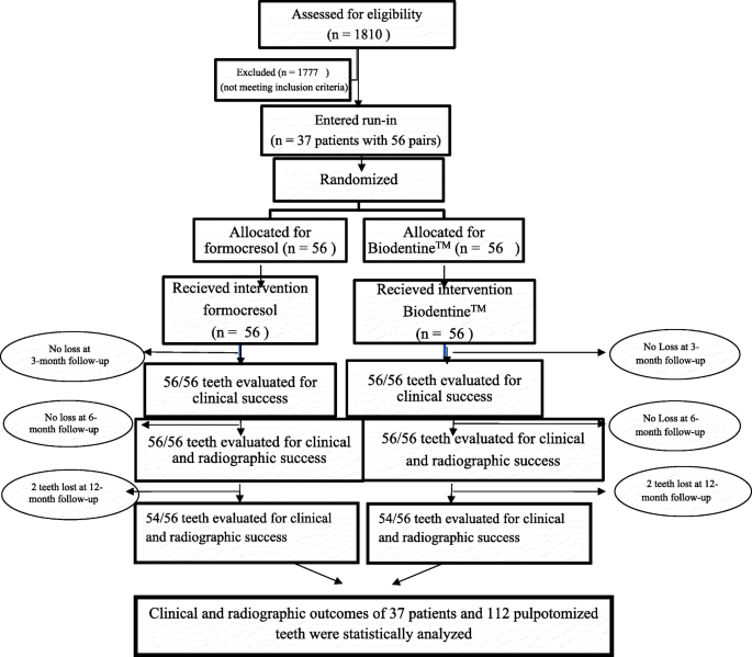 Biodentine Tm Versus Formocresol Pulpotomy Technique In Primary Molars A 12 Month Randomized Controlled Clinical Trial Bmc Oral Health Full Text