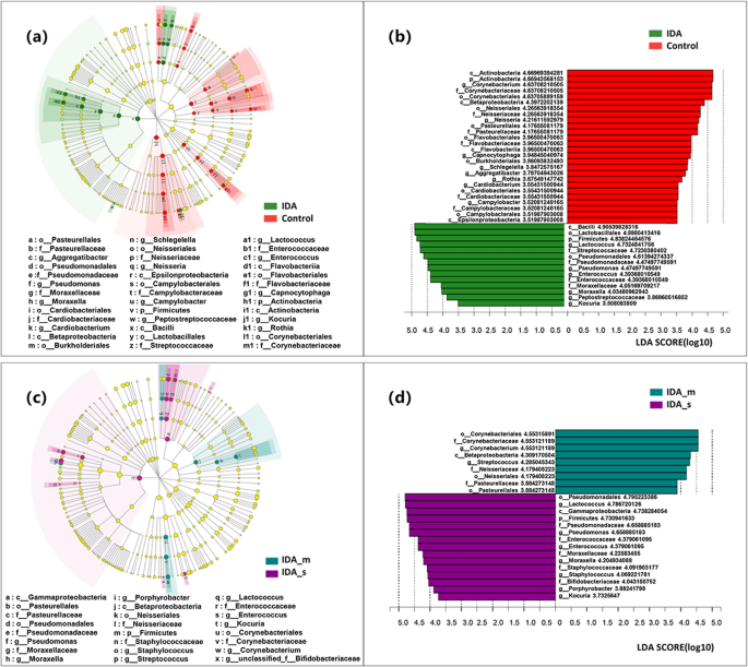 Comparative Analysis Of The Oral Microbiota Between Iron Deficiency Anaemia Ida Patients And Healthy Individuals By High Throughput Sequencing Bmc Oral Health Full Text