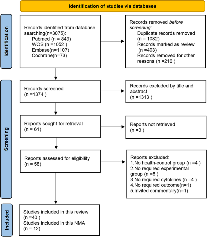 case study for web analytics figure 1