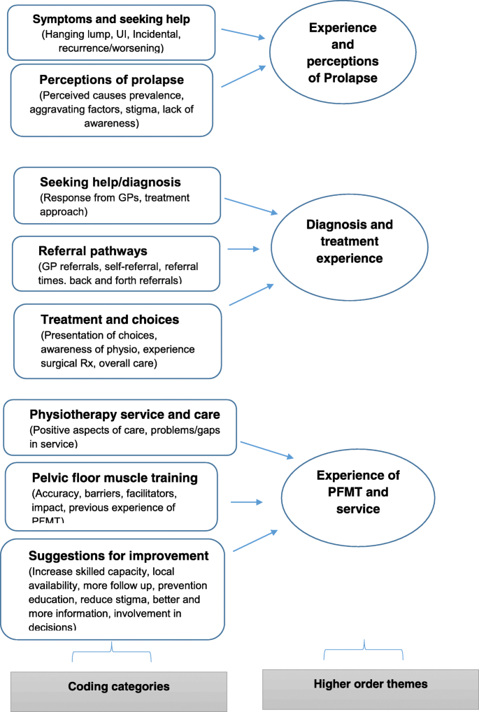 Women S Experiences Of Receiving Care For Pelvic Organ Prolapse A