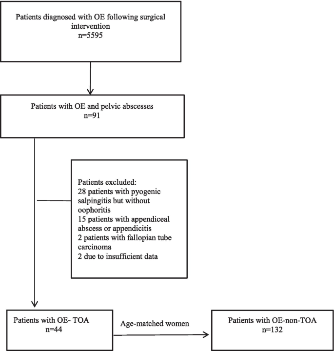 Ovarian cyst or appendicitis