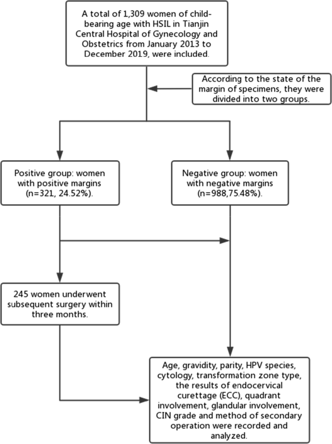 Necessity for subsequent surgery in women of child-bearing age with  positive margins after conization | BMC Women's Health | Full Text