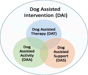 Patient benefit of dog-assisted interventions in health care: a systematic  review | BMC Complementary Medicine and Therapies | Full Text