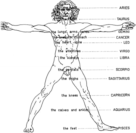 Moon Phases And Moon Signs Do Not Influence Morbidity Mortality And Long Term Survival After Living Donor Kidney Transplantation Bmc Complementary Medicine And Therapies Full Text Moon Phases And Moon Signs Do Not Influence Morbidity Mortality And Long Term Survival After Living Donor Kidney Transplantation Bmc Complementary Medicine And Therapies Full Text