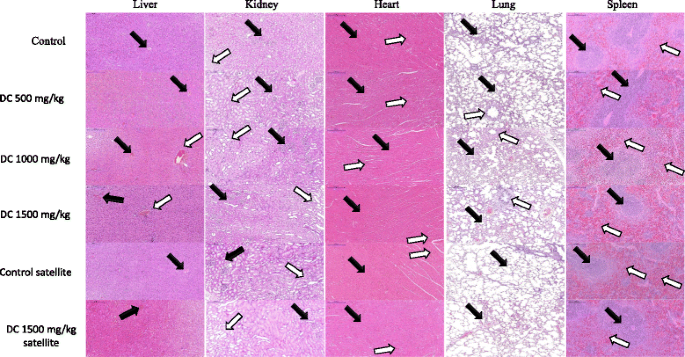 Acute and sub-acute oral toxicity of Dracaena cinnabari resin methanol extract in rats | BMC Complementary Medicine and Therapies | Full Text Acute and sub-acute oral toxicity of Dracaena cinnabari resin methanol extract in rats | BMC Complementary Medicine and Therapies | Full Text