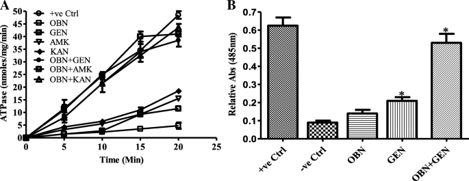 Ouabain Potentiates The Antimicrobial Activity Of Aminoglycosides Against Staphylococcus Aureus Bmc Complementary Medicine And Therapies Full Text