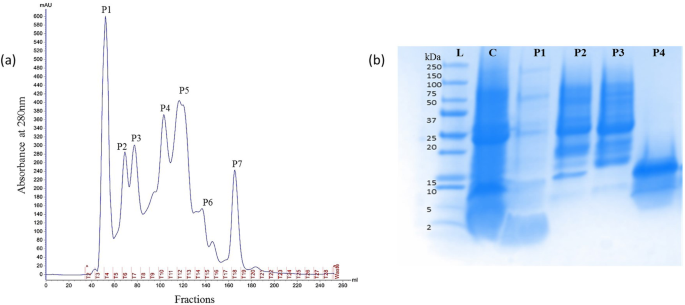 Antiproliferative And Apoptotic Effects Of Proteins From Black Seeds Nigella Sativa On Human Breast Mcf 7 Cancer Cell Line Bmc Complementary Medicine And Therapies Full Text