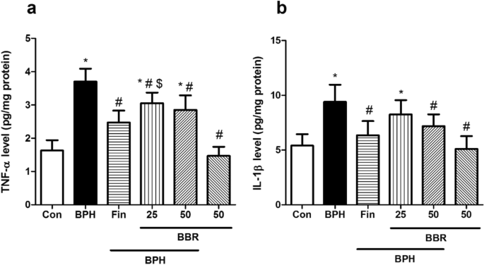 Berberine ameliorates testosterone-induced benign prostate hyperplasia in  rats | BMC Complementary Medicine and Therapies | Full Text