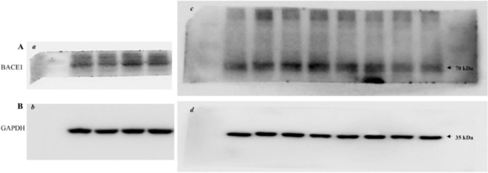 figure c