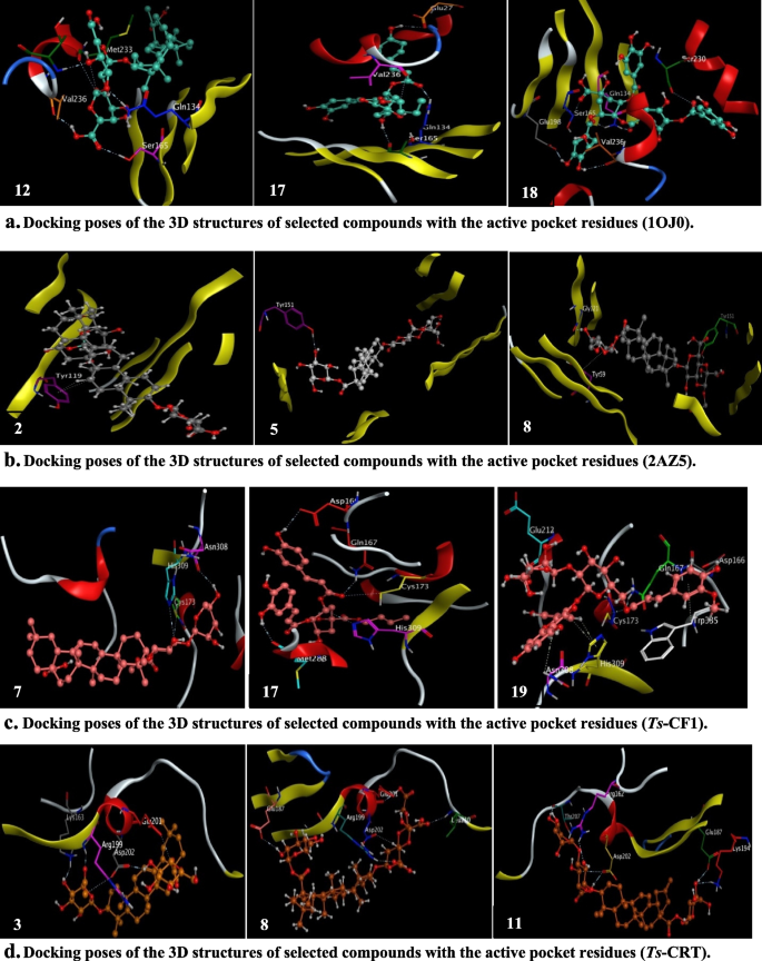 C1q binding of crude plant extracts. Crude extracts were