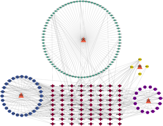 Integration of network pharmacology and molecular docking reveals the ...