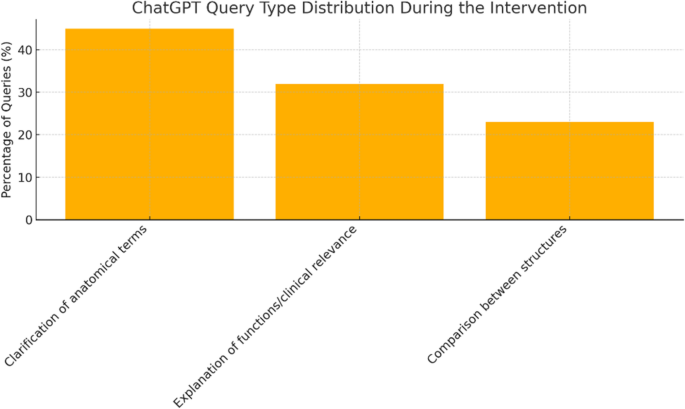 Summary of AI usage patterns by year group