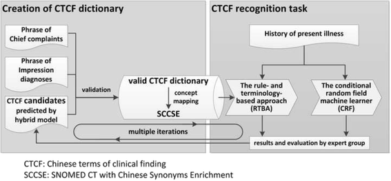 The ranking place of 'true synonym' in the rCTCF candidates