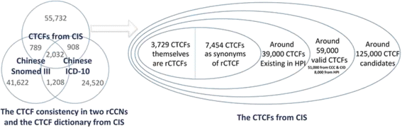 Average ranking place of 'true synonym' in the rCTCF candidates