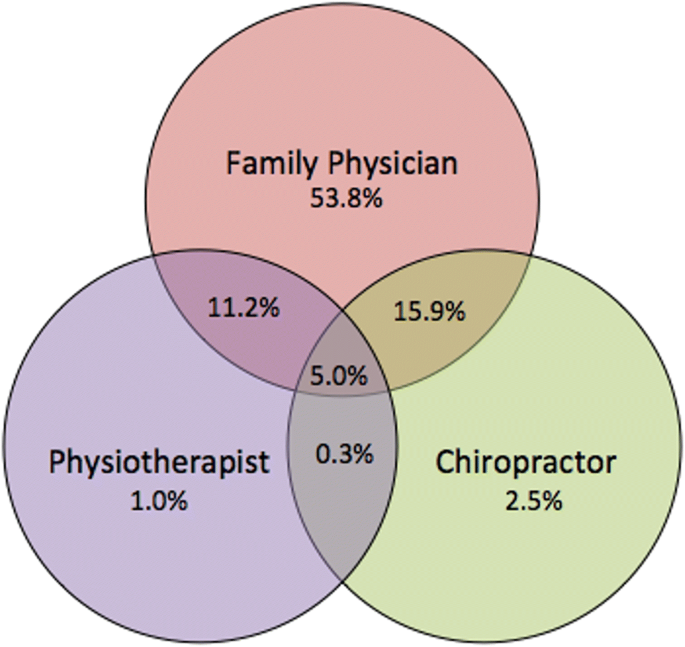 chiropractic software like autumn 8 chiropractic software like autumn 8