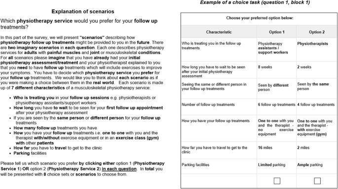 choice experiment design software figure 1