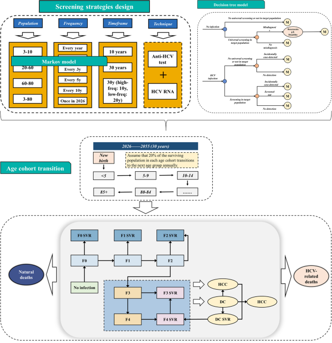 Cost–benefit analysis of universal screening for HCV infection in China ...