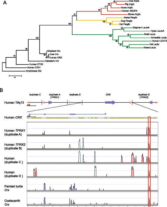 Relationships between homeoprotein EGAM1C and the expression of the  placental prolactin gene family in mouse placentae and trophoblast stem  cells in: Reproduction Volume 141 Issue 2 (2011)