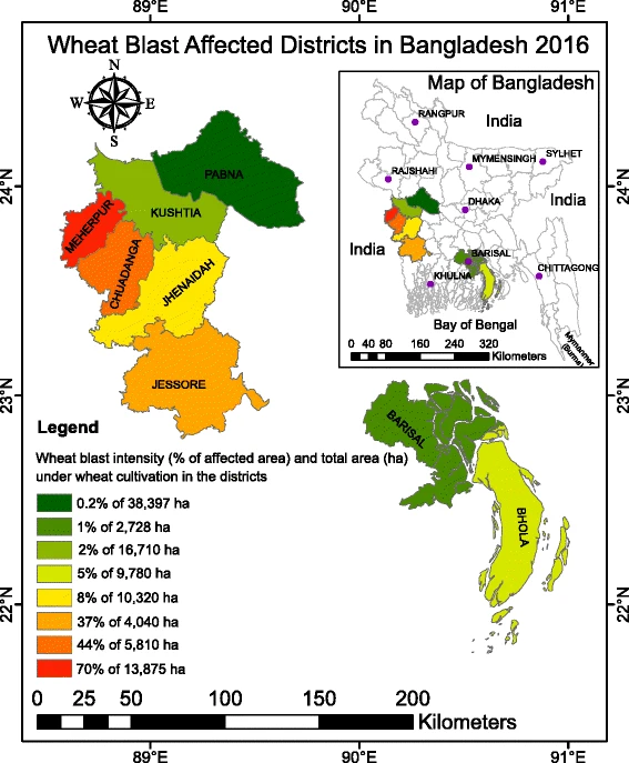 Emergence of wheat blast in Bangladesh was caused by a South American lineage of Magnaporthe oryzae