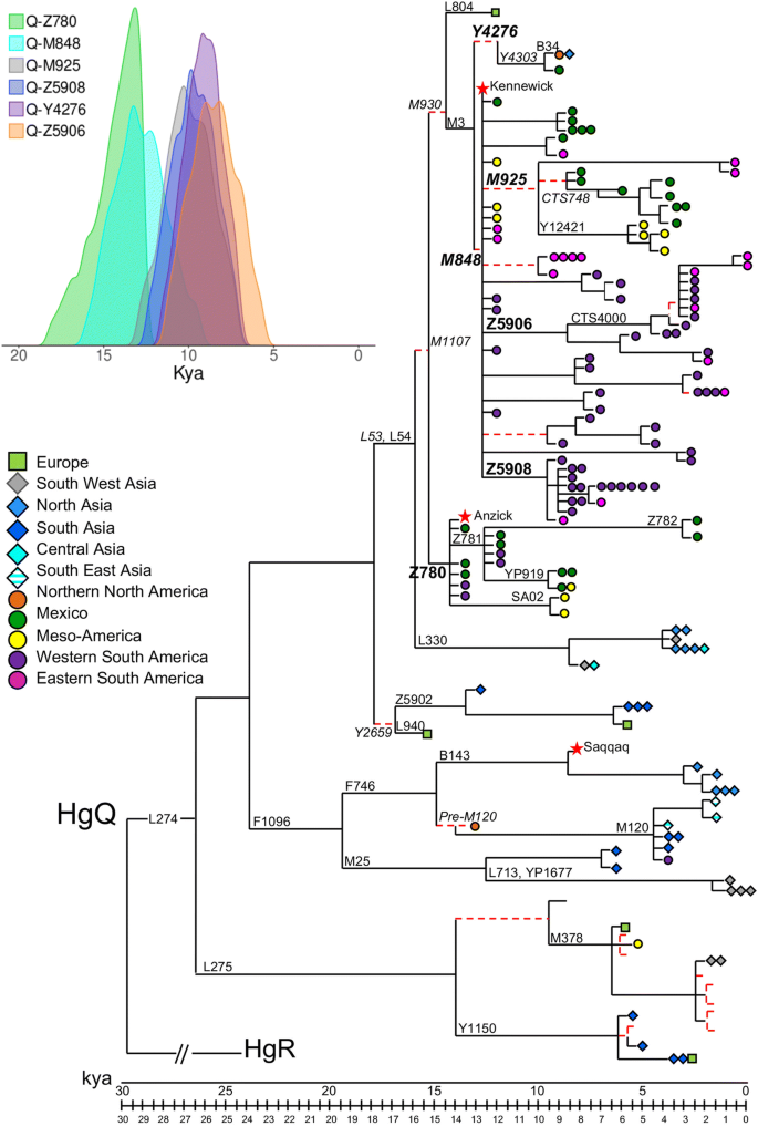 analysis of the human y chromosome
