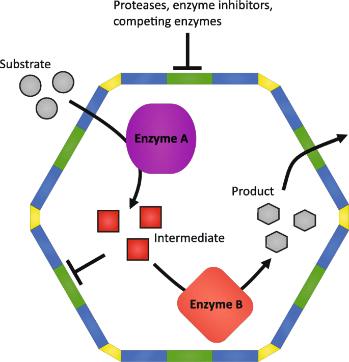 Bacterial microcompartments: catalysis-enhancing metabolic modules 