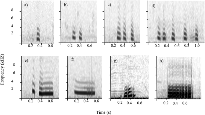 Call Order Within Vocal Sequences Of Meerkats Contains Temporary Contextual And Individual Information Bmc Biology Full Text Call Order Within Vocal Sequences Of Meerkats Contains Temporary Contextual And Individual Information Bmc Biology Full Text