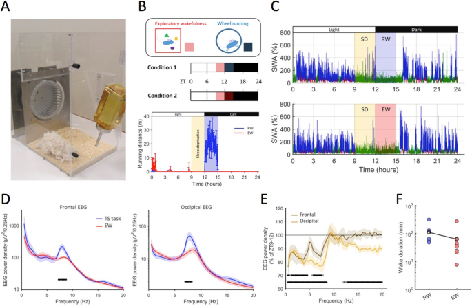 Waking experience modulates sleep need in mice | BMC Biology | Full Text