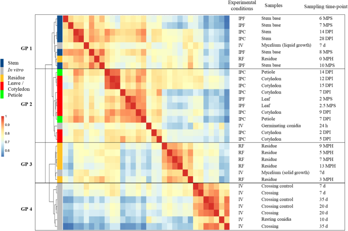 Large Scale Transcriptomics To Dissect 2 Years Of The Life Of A Fungal Phytopathogen Interacting With Its Host Plant Bmc Biology Full Text