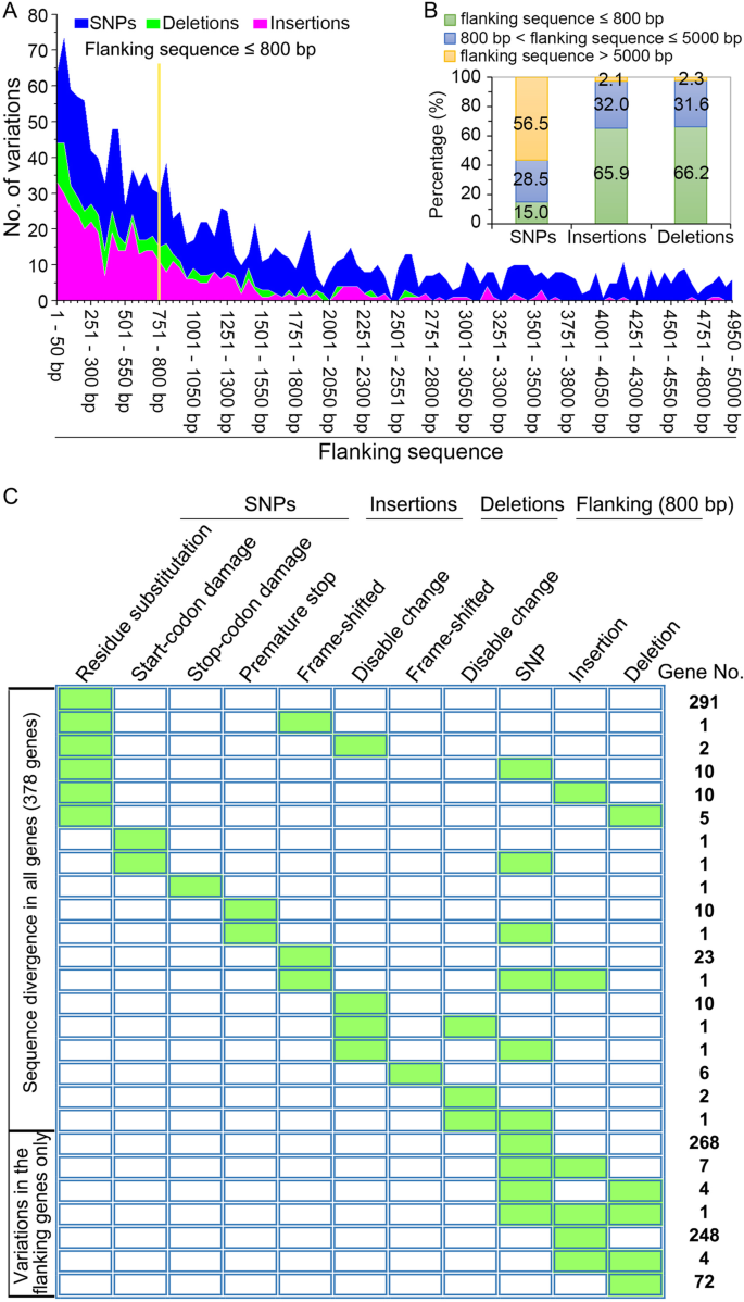 PDF) Biological Characteristics of Verticillium dahliae MAT1-1 and