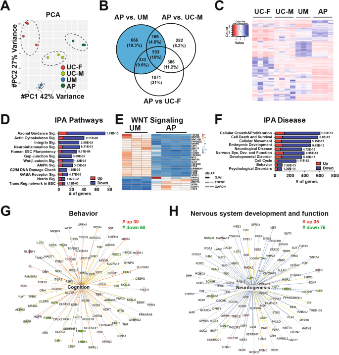 Altered Neuronal Physiology Development And Function Associated With A Common Chromosome 15 Duplication Involving Chrna7 Bmc Biology Full Text