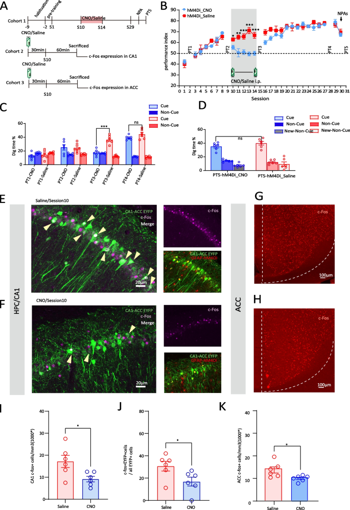 Multiple forms of working memory emerge from synapse–astrocyte interactions  in a neuron–glia network model