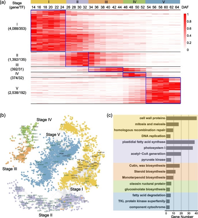 GWENA: gene co-expression networks analysis and extended modules  characterization in a single Bioconductor package, BMC Bioinformatics