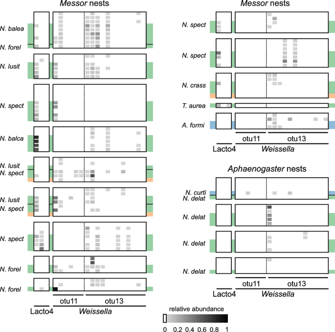 Co-habiting ants and silverfish display a converging feeding 