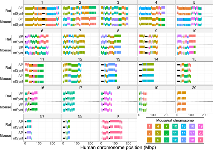 Synteny Graph ntSynt: multi-genome synteny detection using minimizer graph mappings ...